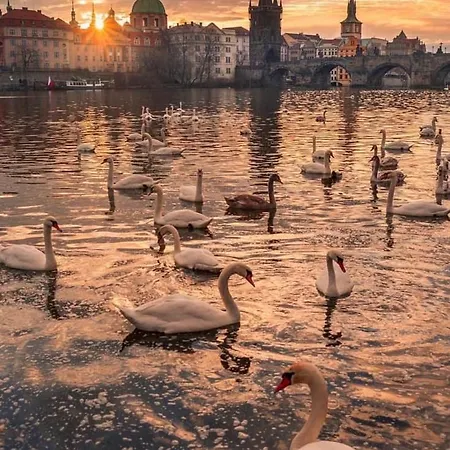 Blue Prague Ξενοδοχείο με διαμερίσματα 3*